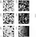 Fig. 66 - Techniques for determining tissue characteristics using multiplexed immunofluorescence imaging