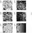 Fig. 67 - Techniques for determining tissue characteristics using multiplexed immunofluorescence imaging