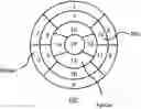 Fig. 01 - Systems and methods for generating bullseye plots