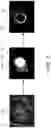 Fig. 03 - Systems and methods for generating bullseye plots