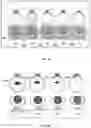Fig. 09 - Systems and methods for determining trajectories of basketball shots for display