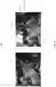 Fig. 09 - Localization and mapping utilizing visual odometry