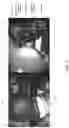 Fig. 14 - Localization and mapping utilizing visual odometry