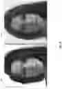 Fig. 16 - IDENTITY-PRESERVING TECHNIQUES FOR GENERATIVE ADVERSARIAL NETWORK  PROJECTION