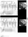 Fig. 08 - Attribute control techniques for image editing