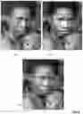 Fig. 08 - Detail-preserving image editing techniques