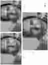 Fig. 07 - Techniques for smooth region merging in image editing