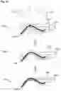Fig. 04 - Dynamic three-dimensional imaging method