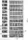 Fig. 10 - IMAGE FEATURE EXTRACTION AND NETWORK TRAINING METHOD, APPARATUS, AND DEVICE