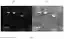 Fig. 04 - Identification of suspicious individuals during night in public areas using a video brightening network system