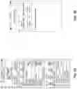 Fig. 06 - Securing a cardless ATM authentication through position detection
