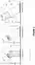 Fig. 13 - Product merchandising display system