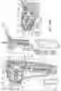 Fig. 35 - VEHICLE-MOUNTABLE CHILD PROTECTIVE DEVICE