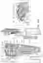 Fig. 41 - VEHICLE-MOUNTABLE CHILD PROTECTIVE DEVICE