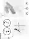Fig. 21 - Computerized method and apparatus for determining accuracy of written characters and stroke order and compliance with rules and providing visual and audio feedback