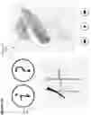 Fig. 24 - Computerized method and apparatus for determining accuracy of written characters and stroke order and compliance with rules and providing visual and audio feedback