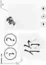 Fig. 54 - Computerized method and apparatus for determining accuracy of written characters and stroke order and compliance with rules and providing visual and audio feedback