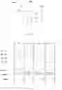 Fig. 02 - Data processing method and device, and display panel