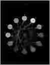 Fig. 16 - System and method for generating harmonious color sets from musical interval data