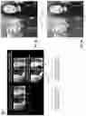 Fig. 10 - Augmented Reality Filters for Captured Audiovisual Performances