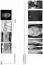 Fig. 11 - Augmented Reality Filters for Captured Audiovisual Performances