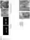 Fig. 12 - Augmented Reality Filters for Captured Audiovisual Performances