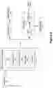 Fig. 04 - Intent inference in audiovisual communication sessions