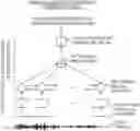 Fig. 01 - PARALINGUISTIC INFORMATION ESTIMATION MODEL LEARNING APPARATUS, PARALINGUISTIC INFORMATION ESTIMATION APPARATUS, AND PROGRAM