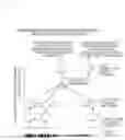 Fig. 15 - PARALINGUISTIC INFORMATION ESTIMATION MODEL LEARNING APPARATUS, PARALINGUISTIC INFORMATION ESTIMATION APPARATUS, AND PROGRAM