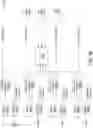 Fig. 37 - TRAINING OF SPEECH RECOGNITION SYSTEMS