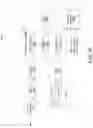 Fig. 46 - TRAINING OF SPEECH RECOGNITION SYSTEMS