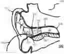 Fig. 01 - Method and device for voice operated control