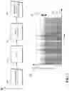 Fig. 02 - Real-time voice timbre style transform