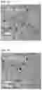 Fig. 09 - PERPENDICULAR MAGNETIC RECORDING MEDIUM