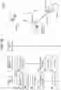 Fig. 03 - Video ingestion and clip creation