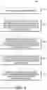 Fig. 09 - ATTENTION-BASED NEURAL NETWORK TO PREDICT PEPTIDE BINDING, PRESENTATION, AND IMMUNOGENICITY