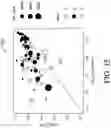 Fig. 20 - ATTENTION-BASED NEURAL NETWORK TO PREDICT PEPTIDE BINDING, PRESENTATION, AND IMMUNOGENICITY