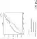 Fig. 29 - ATTENTION-BASED NEURAL NETWORK TO PREDICT PEPTIDE BINDING, PRESENTATION, AND IMMUNOGENICITY