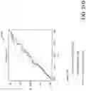 Fig. 32 - ATTENTION-BASED NEURAL NETWORK TO PREDICT PEPTIDE BINDING, PRESENTATION, AND IMMUNOGENICITY