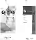 Fig. 16 - System and Method for the Specialized Delivery of Telemedicine Services