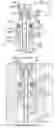 Fig. 14 - INDUCTIVE COUPLER FOR DOWNHOLE TRANSMISSION LINE
