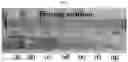 Fig. 05 - Perovskite solar cell and method for manufacturing same