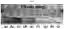 Fig. 06 - Perovskite solar cell and method for manufacturing same