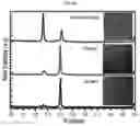Fig. 31 - Perovskite solar cell and method for manufacturing same