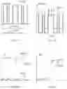 Fig. 10 - Image contrast enhancement in sample inspection
