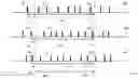 Fig. 05 - Determining the average frequency of a series of pulses