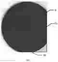 Fig. 02 - Monolayer graphene on non-polar face SiC substrate and control method thereof