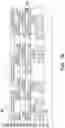 Fig. 18 - Integrated fan out method utilizing a filler-free insulating material