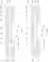 Fig. 19 - Semiconductor devices and methods of manufacturing semiconductor devices
