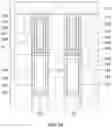 Fig. 19 - Semiconductor device and method of forming the same